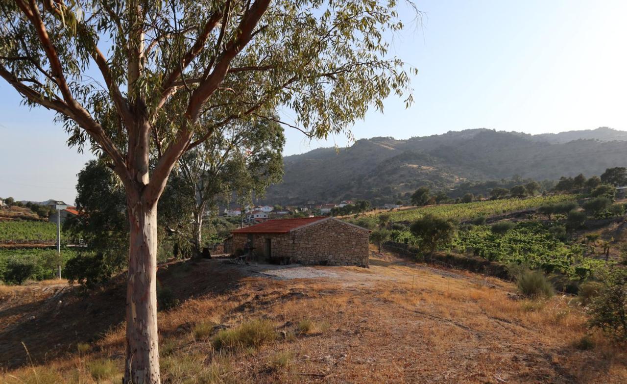 Quinta De Gandarem Villa Torre De Moncorvo Dış mekan fotoğraf
